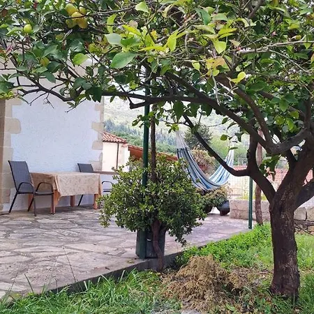 Tatil Evi Irene's